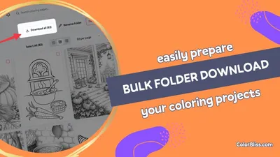 Bulk Folder Download