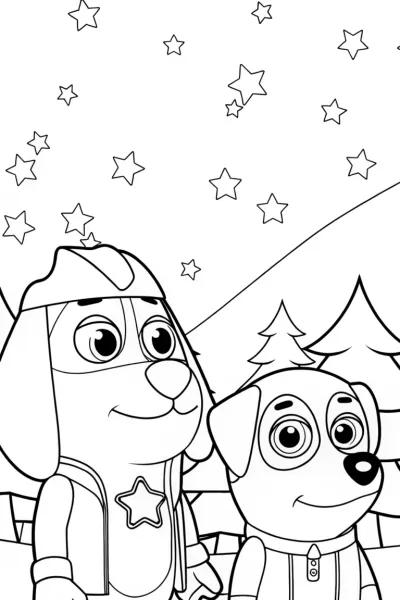 Bluey and Bingo’s starry night adventure