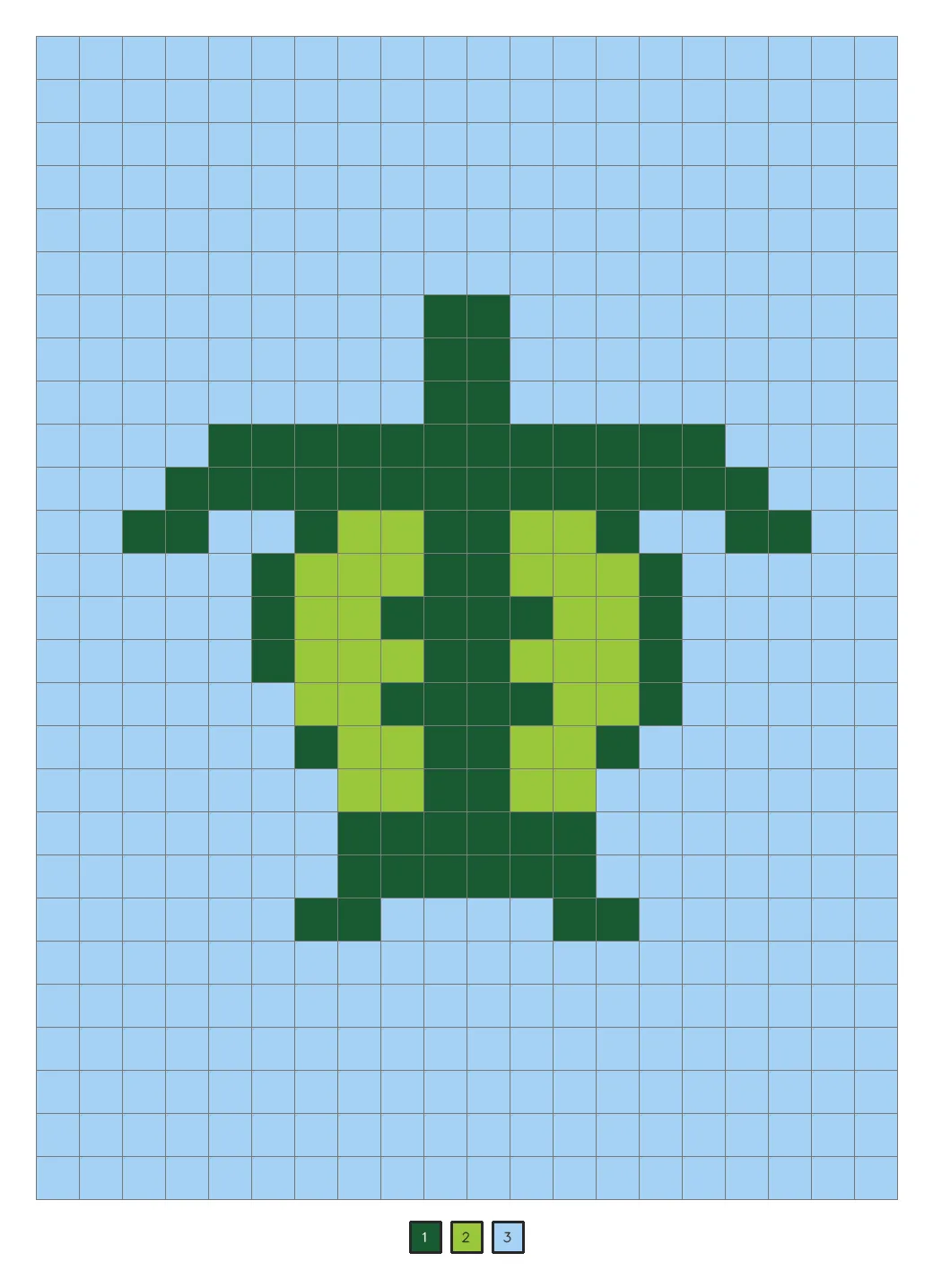 Answer key: a green sea turtle seen from above