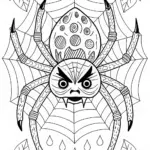 Angry Spider