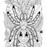 Tarantula in the Wild Coloring Page