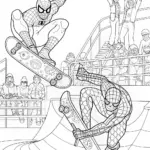 Spider-Man Skateboarding Adventure