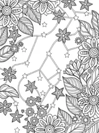 Orion through the seasons