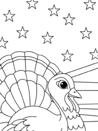 Turkey navigating the stars