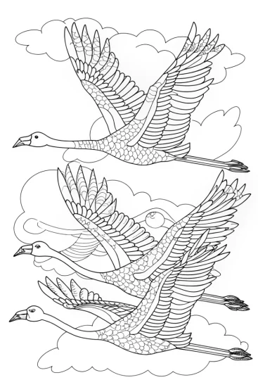 A coloring page of Flamingos learning to fly