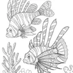 Zebra fish and lionfish adventure