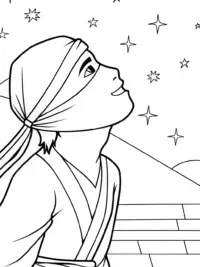 Ninja gazing at the stars