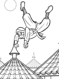 Ninja flipping on circus rooftops