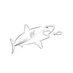 Ocean Shark Hunt Coloring Page